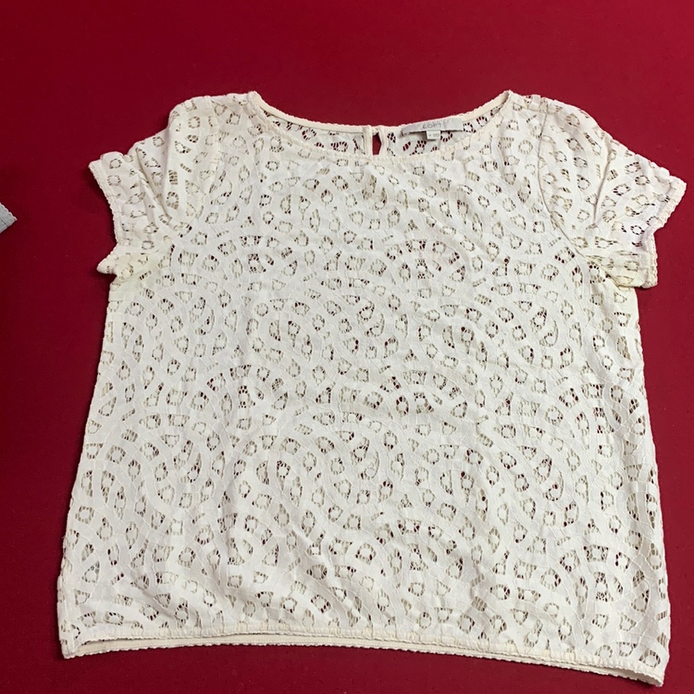Ann Taylor Loft lace blouse